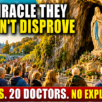Pilgrims praying at the Lourdes Grotto in France beneath a statue of Our Lady during warm golden daylight, symbolizing the investigation of an extraordinary Catholic healing miracle.