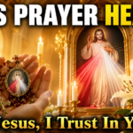Hands holding a rosary with a Divine Mercy medal inside a bright, sunlit chapel, with the Divine Mercy image of Jesus radiating red and white rays, white lilies, glowing candles, and bold text reading "THIS PRAYER HEALS" and "Jesus, I Trust In You."